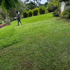 Corte de Grama